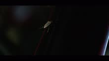 Runaway (Videoclip)