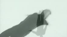 Good Bye, Cherie (Official Video) (VOD)