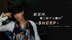 SHEEP