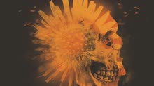 Barns Courtney - Barns Courtney - Kicks
