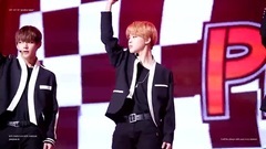 Perfect Man