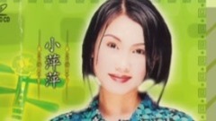 吴泓君 - 我甲别人无同款