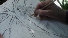 BBC森林 记录样片(全景3D耳机版)