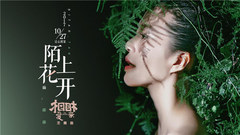 陌上花开