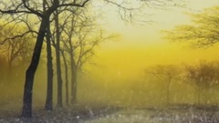 秋窗风雨夕