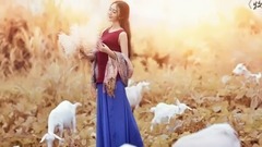 牧羊曲