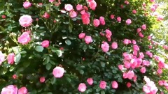 Just For You