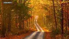 The Autumn Leaves(秋叶)