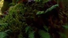 布秋·追梦