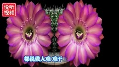知足常乐