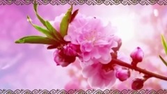 梅花三弄