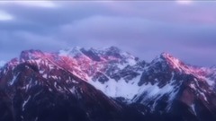 莲的心事