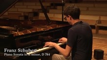 Franz Schubert - Piano Sonata No. 14 in A Minor, D. 784