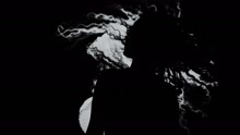 Berrak ft Berrak -