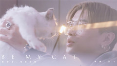 满舒克 - 做我的猫