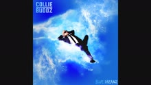 Collie Buddz - Like Yuh Miss Me (Audio)