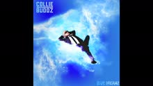 Collie Buddz - Like Yuh Miss Me (Audio)