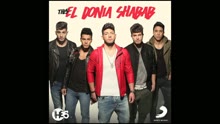 El Donia Shabab