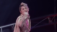 One Night Animal