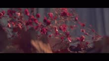 Tentando Te Esquecer (Videoclipe)
