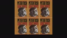 Peter Tosh - Stepping Razor (Audio)