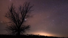 Stars Overhead