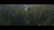 A Mão de Deus (Videoclipe)