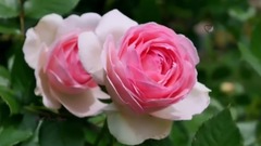 Just For You