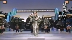 雪之候鸟