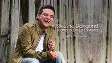 Silvestre Dangond - Mi Amor Eres Tú (Cover Audio)