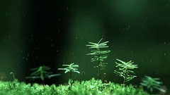 雨滴