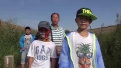 宁夏沙湖风光