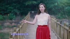 王圆圆 - 如果回到从前