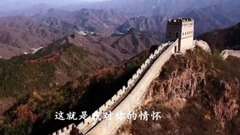我的情怀
