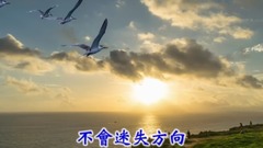 海鸥