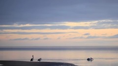 海岸线