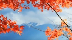又是一年
