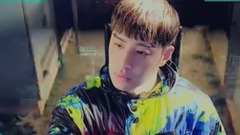 像我一样爱她