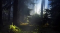Delusion