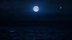 Nocturnes