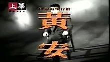 黄安-新鸳鸯蝴蝶梦