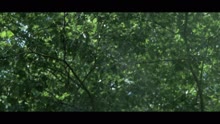 Sirop (Official Music Video)