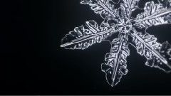 Snowtime