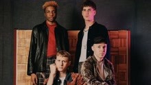 Pelicandy - Animals