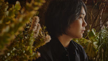 warbear - 墓场の蝶