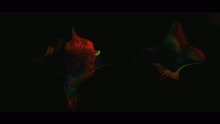 Still Fresh - De jour comme de nuit (Clip officiel)