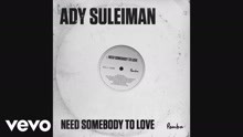 Ady Suleiman - Need Somebody To Love
