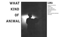 Luka - Near Collision