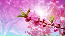 费玉清《一剪梅》