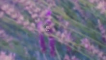Jo SoJeong - Not Okay